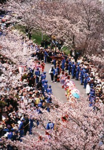 桜並木とおいらん道中(添付用)