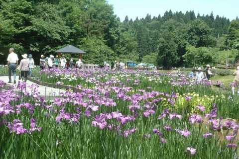 しらさぎ森林公園