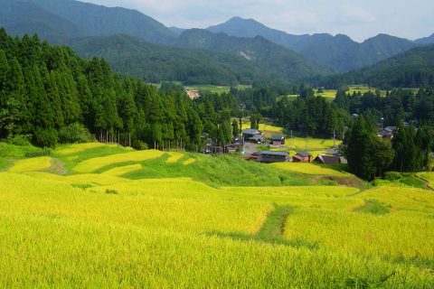 景勝八木ヶ鼻・北五百川棚田遊歩道