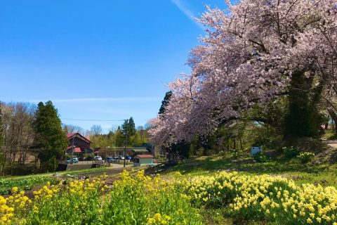 三条市グリーンスポーツセンター・大崎山公園