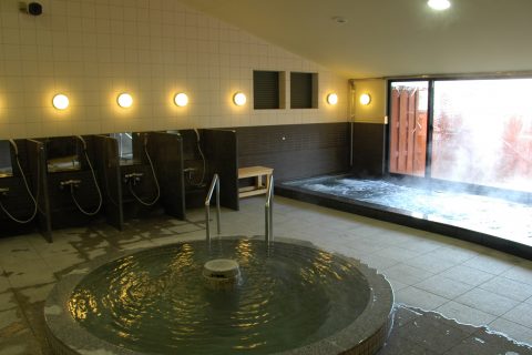 燕市温泉保養センター ふれあいパーク てまりの湯