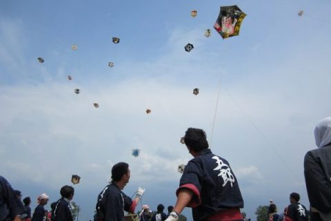 三条凧(いか)合戦